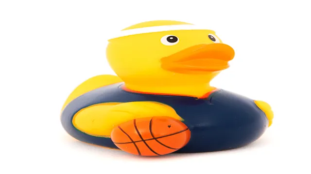 basketball duck