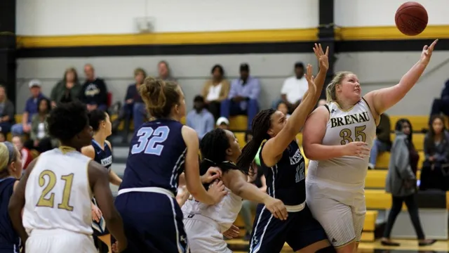 brenau university women's basketball roster