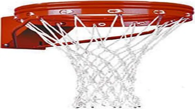 double rim basketball goal